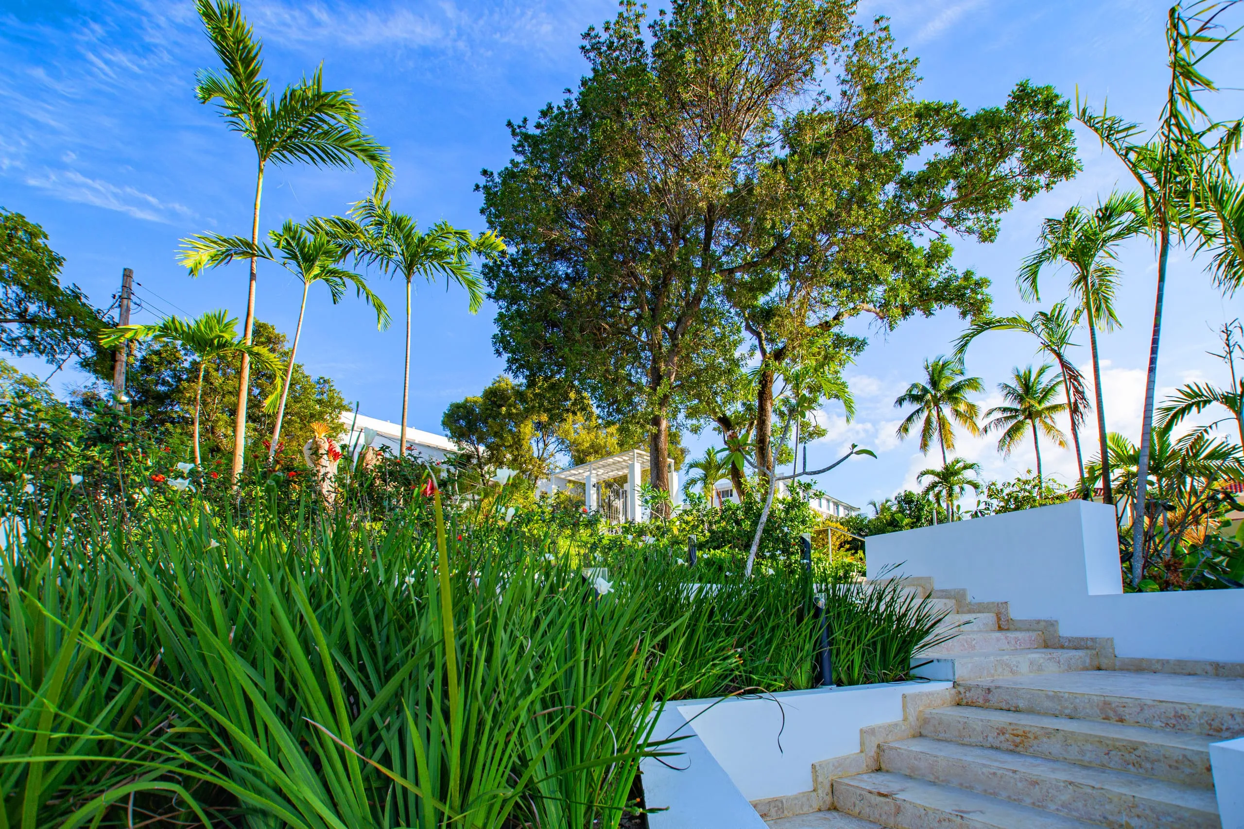 Exterior of the modern white hilltop villa
